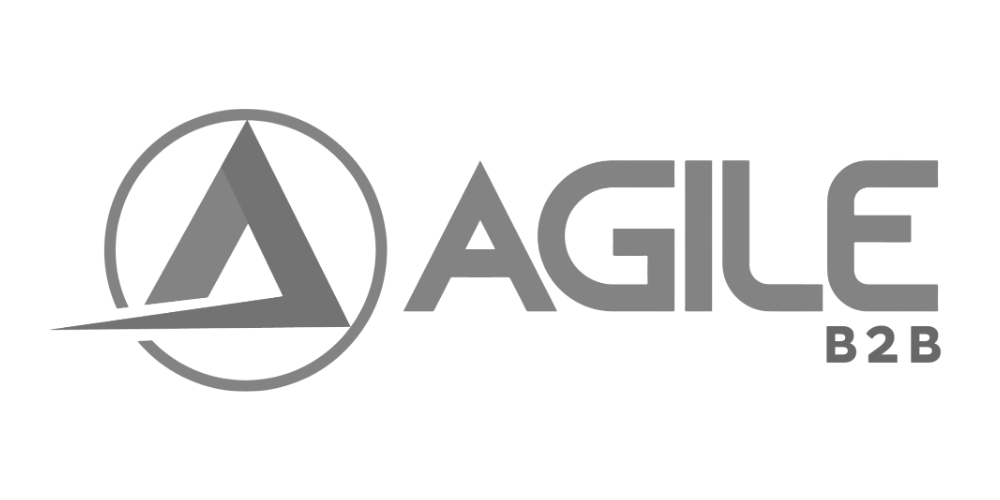 Agile Ecommerce